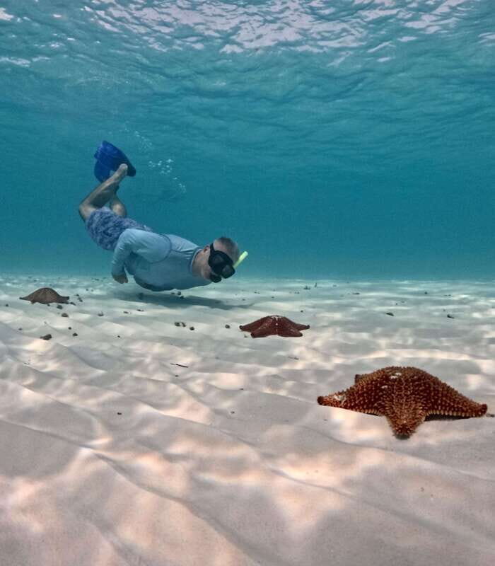 El Cielo Cozumel private snorkel tour - Analyzing the value