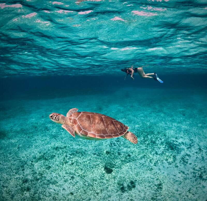 El Cielo Cozumel private snorkel tour - Who should consider this tour?