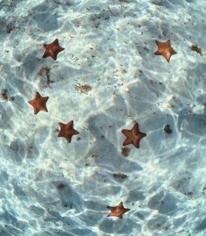 El Cielo Cozumel private snorkel tour - The Sum Up