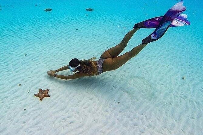 El Cielo Cozumel Snorkeling Tour - All-Inclusive - Practical Tips for Booking and Participating