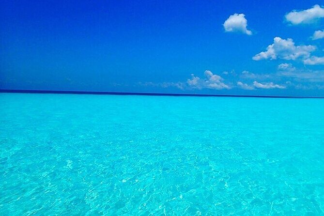 El Cielo Cozumel Snorkeling Tour - All-Inclusive - The Sum Up