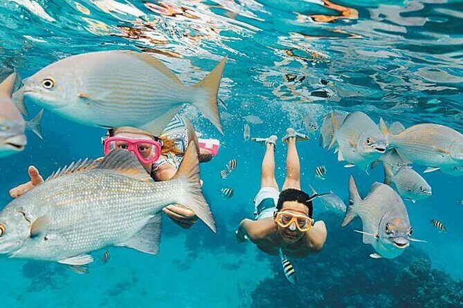 El Cielo Palancar and Columbia Snorkeling Tour - Unpacking the Experience: A Deep Dive into the Itinerary