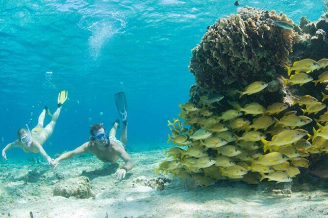 El Cielo Palancar and Columbia Snorkeling Tour - Practical Details: Transportation, Duration, and Group Size