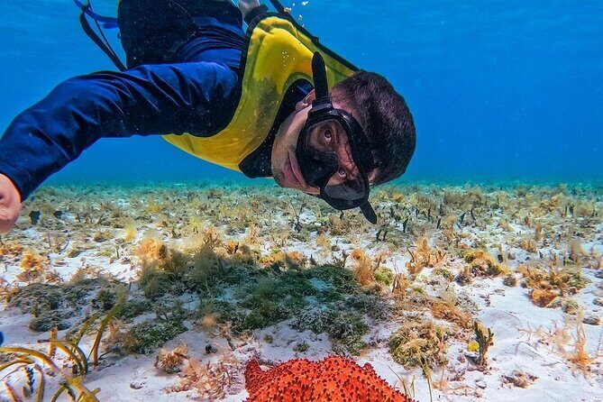 El Cielo Snorkeling Adventure in Cozumel - Key Points