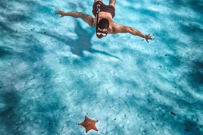 El Cielo Snorkeling Adventure in Cozumel - Exploring the Itinerary in Detail