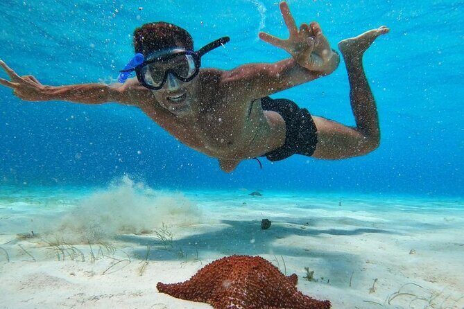 El Cielo Snorkeling Adventure in Cozumel - Why This Tour Is a Great Choice