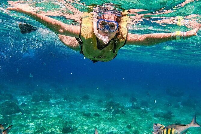 El Cielo Snorkeling Adventure in Cozumel - The Sum Up