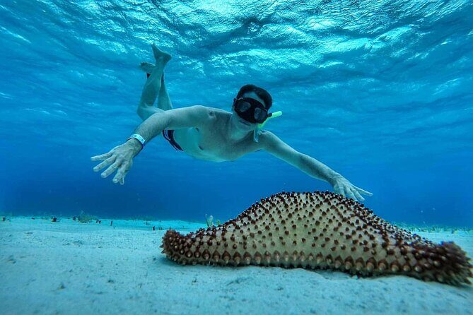 El Cielo the Breathtaking Snorkel Tour of Cozumel Cielito Beach & Lunch Included - Key Points