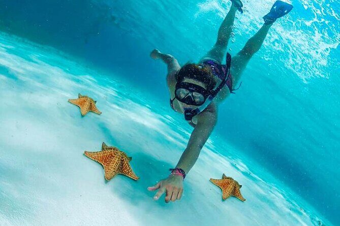 El Cielo the Breathtaking Snorkel Tour of Cozumel Cielito Beach & Lunch Included - Evaluating the Value