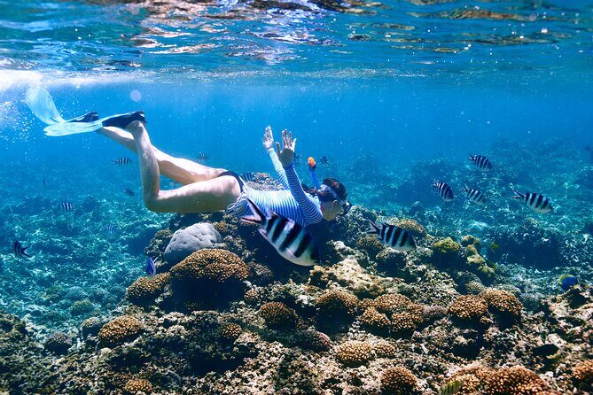 El Cielo the Breathtaking Snorkel Tour of Cozumel Cielito Beach & Lunch Included - Who Will Love This Tour?