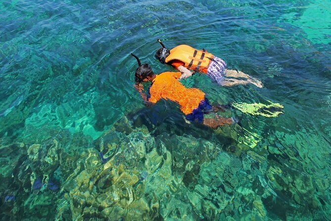 El Cielo the Breathtaking Snorkel Tour of Cozumel Cielito Beach & Lunch Included - The Sum Up: Is It Worth It?
