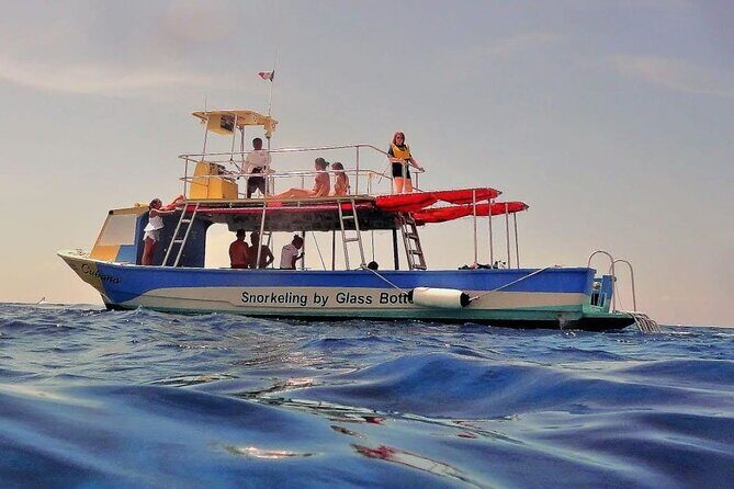 El Cielo Tour with Reef Snorkeling from Cozumel - An In-Depth Look at the El Cielo Tour