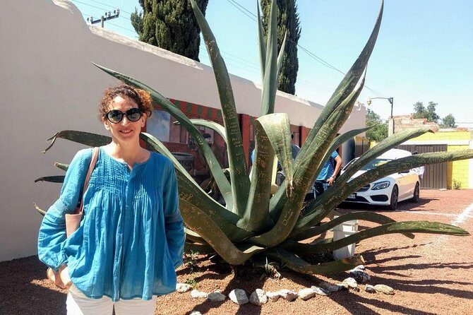 El mejor Tour Privado, Piramides de Teotihuacán y Basílica. ! - The Sum Up: Is This Tour Right for You?