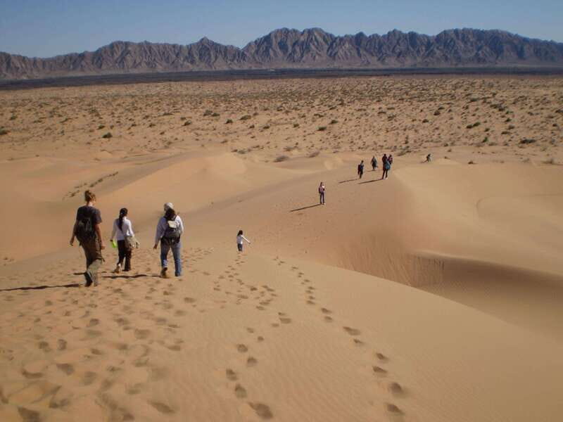 El pinacate: 4-day tour of the craters and Altar desert - Key Points