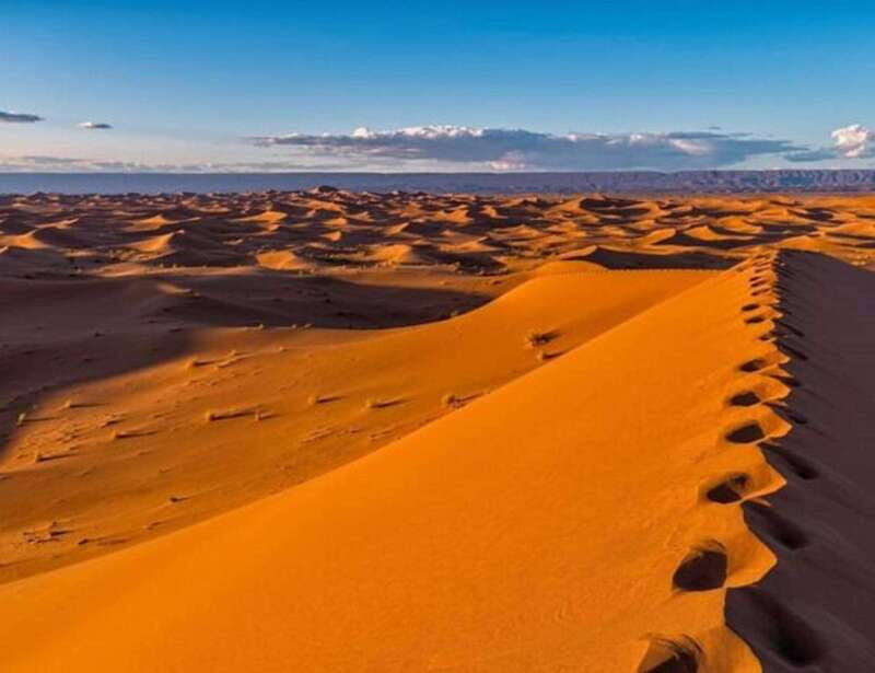 El pinacate: 4-day tour of the craters and Altar desert - Value and Cost Analysis