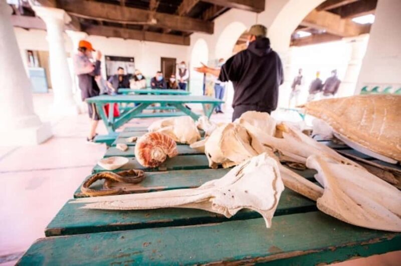 El Pinacate: 5-day tour to the craters and the Altar desert - Key Points