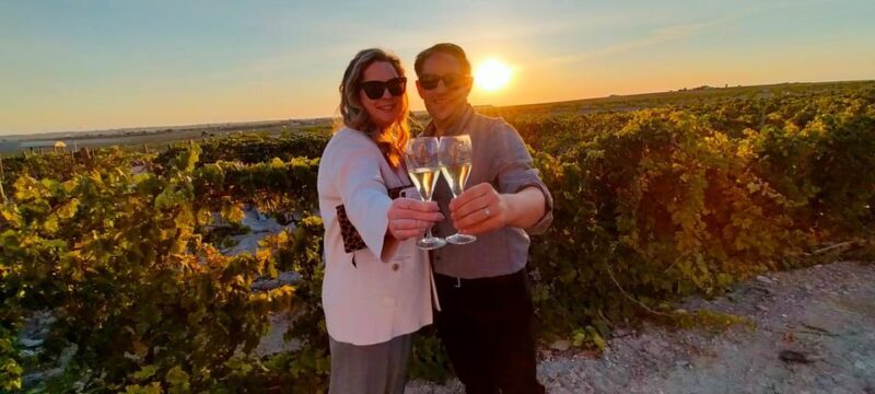 El Puerto de Santa María Winery and Tasting - Exploring the Vineyards