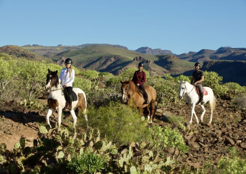 El Salobre: Horse Riding Adventure with Transfer Options - A Scenic Ride Through Gran Canaria’s Volcanic Landscape