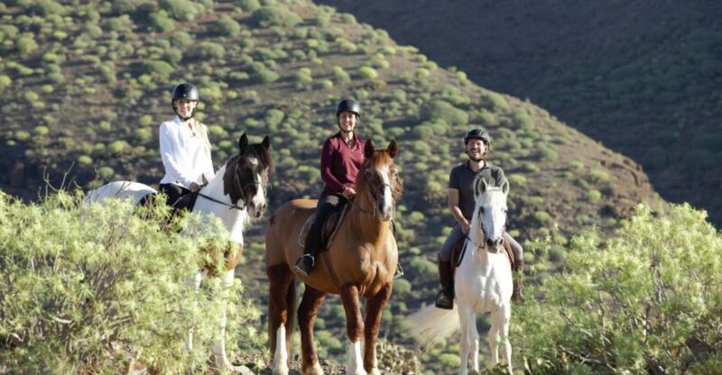 El Salobre: Horse Riding Adventure with Transfer Options - Views and Photo Opportunities