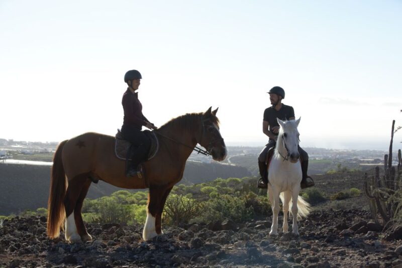 El Salobre: Horse Riding Adventure with Transfer Options - Final Thoughts