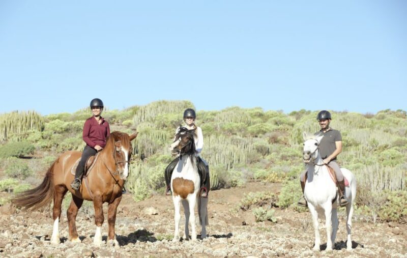 El Salobre: Horse Riding Adventure with Transfer Options - FAQs