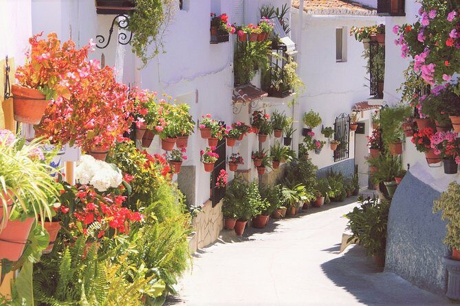 El Saltillo Gorge and White Village Hiking Tour from Malaga - An In-Depth Look at the Hiking Tour