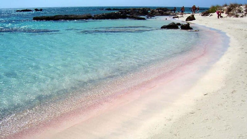 Elafonisi Bay - PINK COLOR SAND BEACH - A Deep Dive into the Elafonisi Day Trip