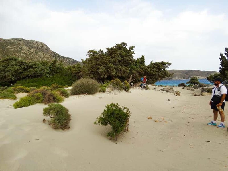 Elafonisi Bay - PINK COLOR SAND BEACH - The Sum Up