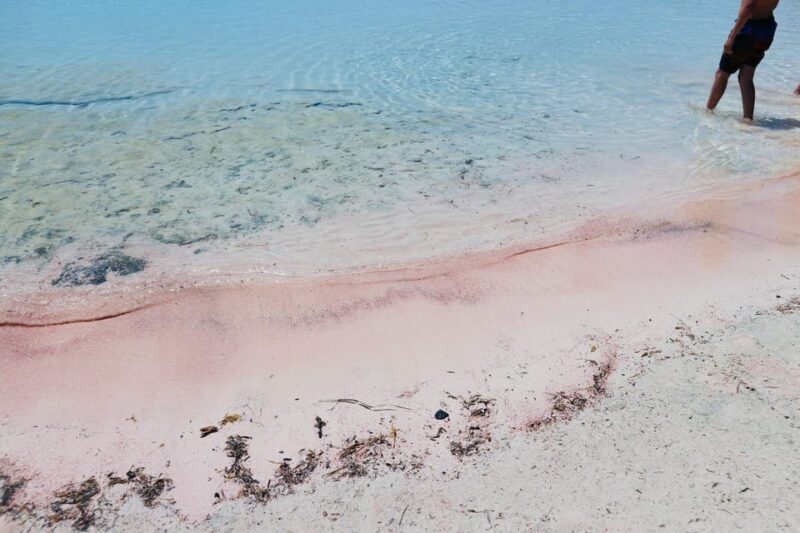 Elafonisi Road Trip - Be first at Beach! - The Itinerary in Detail