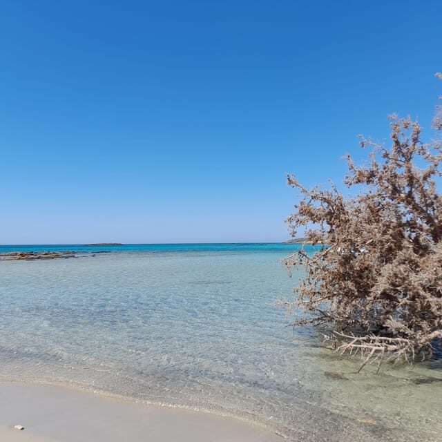 Elafonissi: Private Beach Day Trip with SUP - Final Thoughts