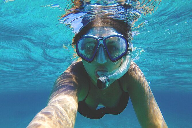 Elaphite Islands Cruise with Local Gastronomy at Captain's House - Who Will Love This Tour?