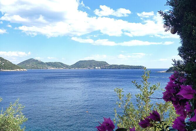 Elaphiti Islands by Private Luxury Mini Yacht: A VIP Experience - Who Should Book This Tour?