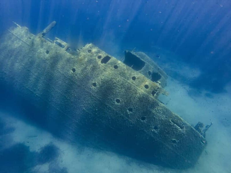 Elba Island boat trip to the Elviscot wreck - Who Should Consider This Tour?
