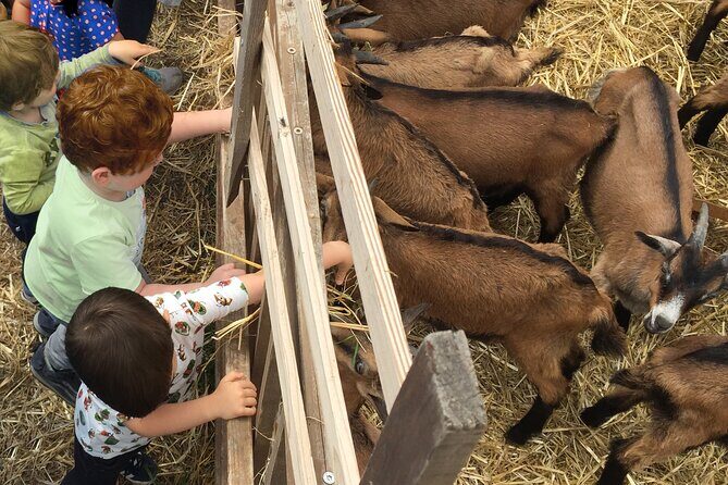 Elba Island Farmhouse tasting experience - An In-Depth Look at the Farmhouse Tasting Experience