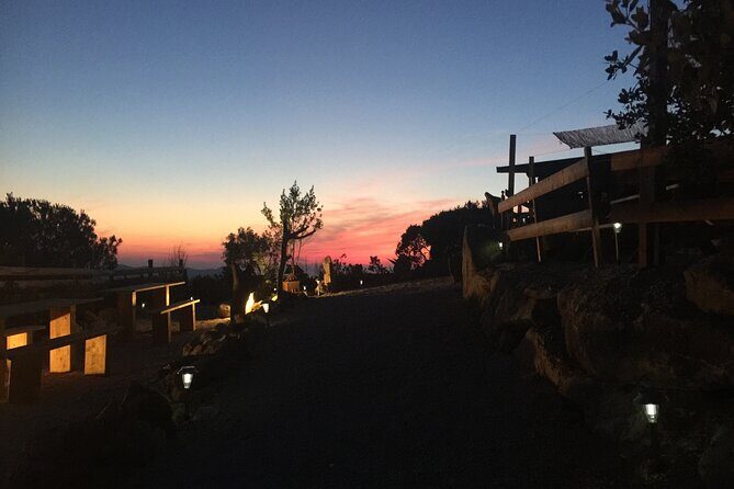 Elba Island Farmhouse tasting experience - The Sum Up: Who Is This Tour Best For?