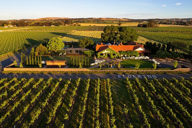 Elderton Elite Tasting Experience - An In-Depth Look at the Elderton Elite Tasting Experience