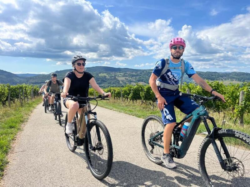 Electric-assisted mountain biking - Discover Rhone River on an Electric-assisted Mountain Bike Tour