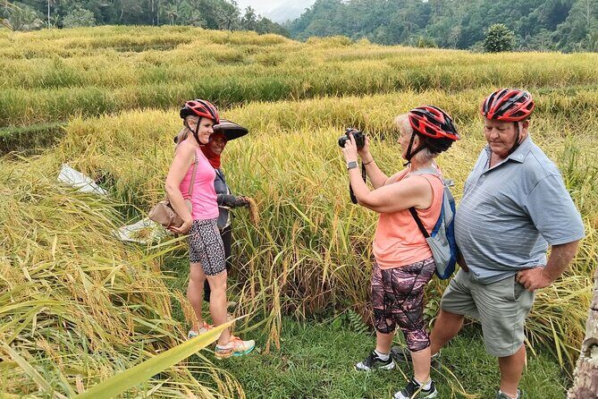 Electric bicycle tour in Jatiluwih UNESCO site - The Practicalities: What You Need to Know