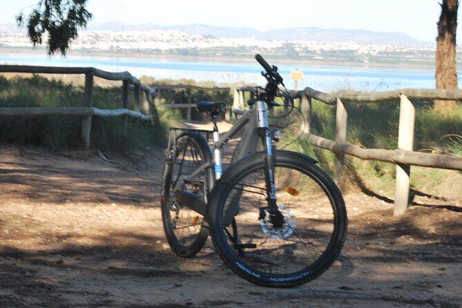Electric Bicycle Tour through the Natural Parks of Torrevieja - Who is This Tour Perfect For?
