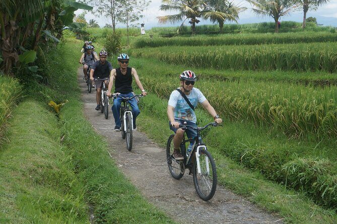 Electric Bike and Swing Package - What the Reviews Say