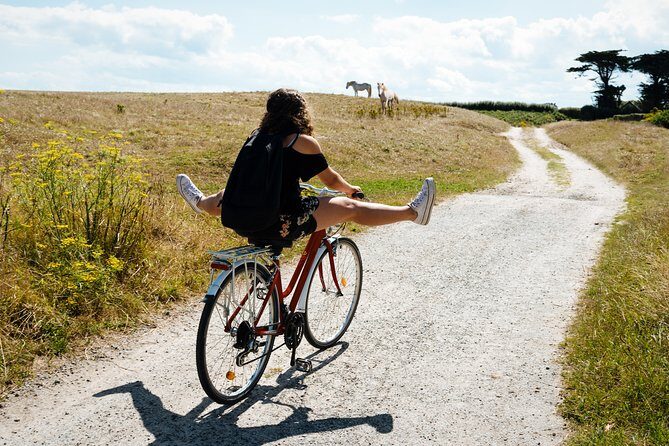 Electric bike excursion in Camargue - An In-Depth Look at the Camargue Electric Bike Tour