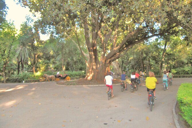 Electric Bike Rental 3 hours - What Reviewers Say About the Experience