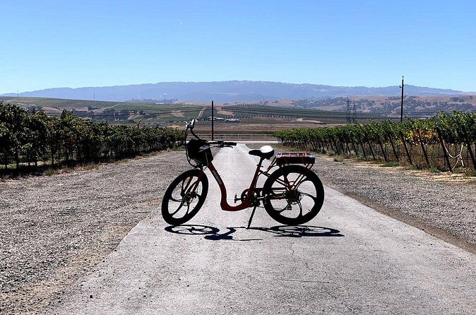 Electric Bike Rental in Livermore - Who Should Consider This Tour?