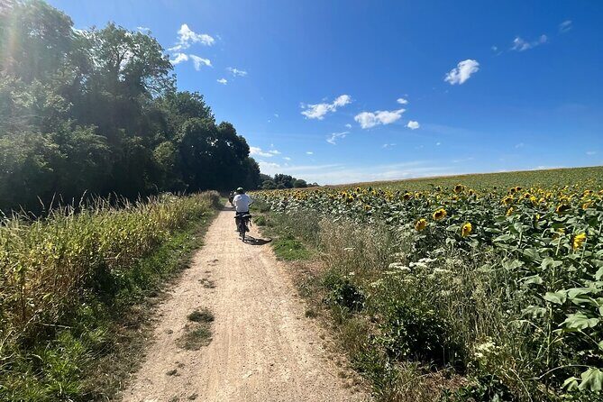 Electric bike rental in Paris - Discovering Paris on Electric Two Wheels: What to Expect
