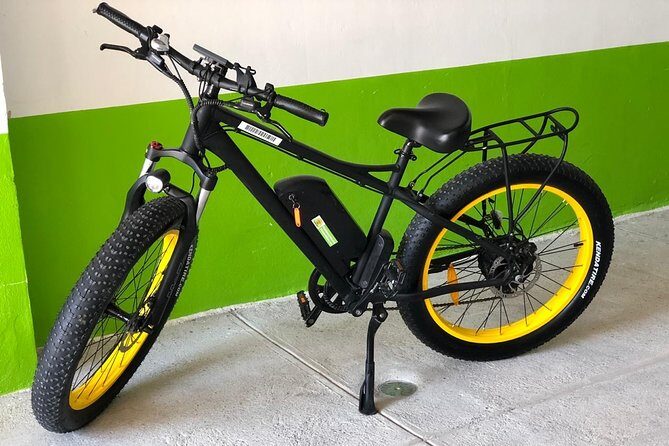 Electric Bikes Per Day - Why Choose a Full-Day Electric Bike Rental?