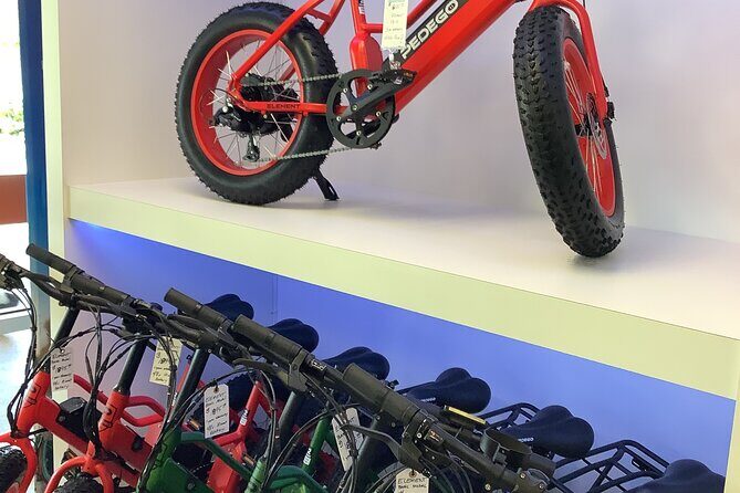 Electric Bikes Rental in Dunedin - Key Points