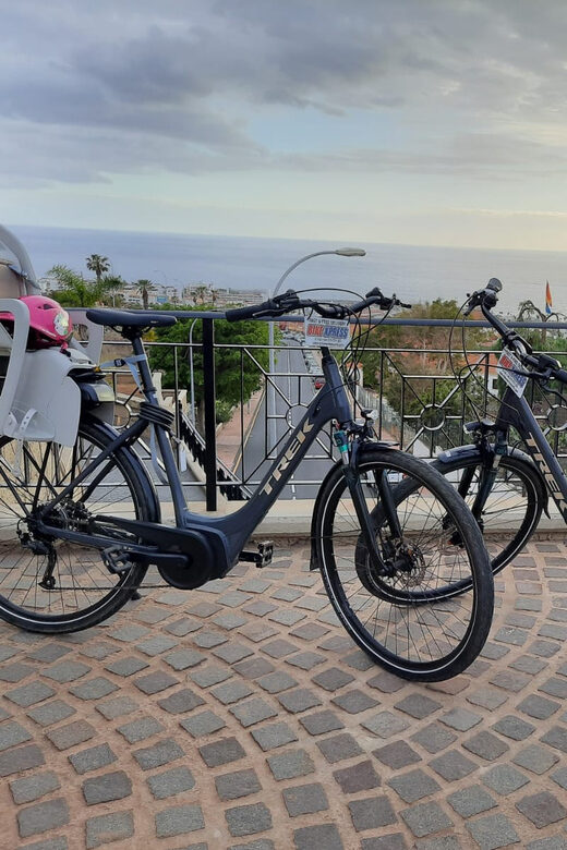 Electric City Bike Rental with Hotel Delivery - Key Points