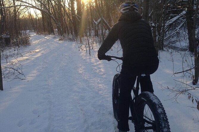 Electric Fatbike Tour in Québec City - Why This Tour Offers Great Value