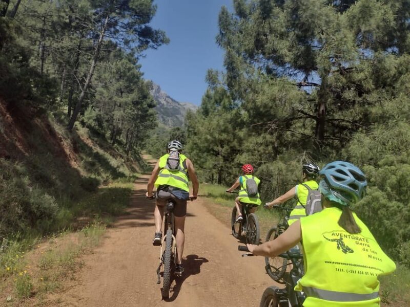 Electric mountain bike in Sierra de las Nieves national park - Value for Money