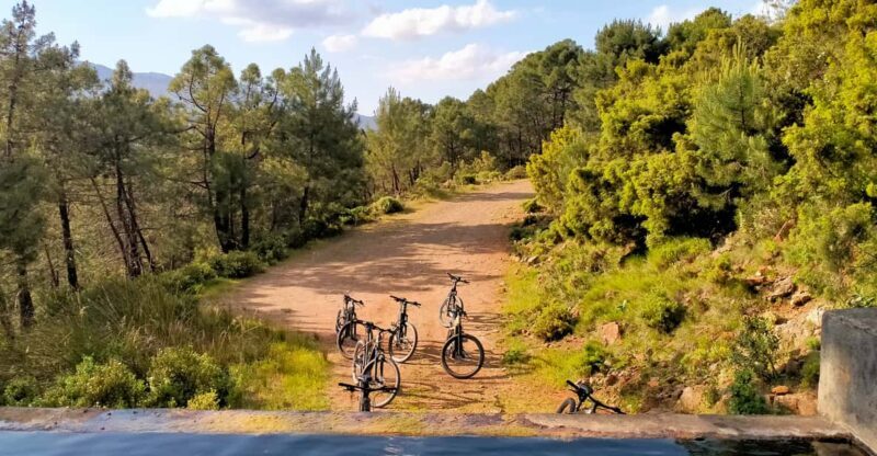 Electric mountain bike in Sierra de las Nieves national park - Who Would Love This Tour?